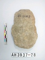 藏品(中型斜刃打製石斧)的圖片